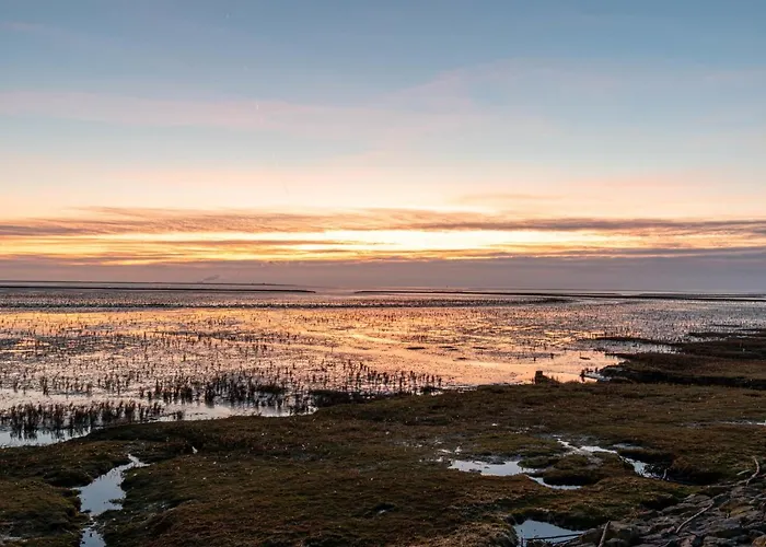 Appartement Fielapper By Interhome *